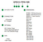 Il regolatore Italia Geca di pressione del gas di 6 Antivari ha fatto il filtro GF050-TPIO - PMax dal gas