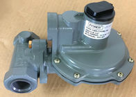 8,6 modello Gas Regulator Compact Fisher Differential Pressure Regulator di Antivari Fisher HSR