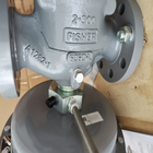 Alto flusso Rate Fisher Gas Regulator 1098-EGR per servizio corrosivo dell'ossigeno degli ambienti