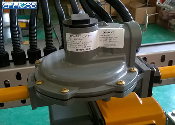 Progettazione compatta di Fisher Gas Regulator Two Stage dell'attrezzatura del riscaldamento a gas