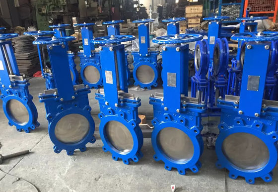 Doppia valvola a saracinesca manuale del coltello di acciaio inossidabile della valvola a saracinesca dell'acqua della flangia