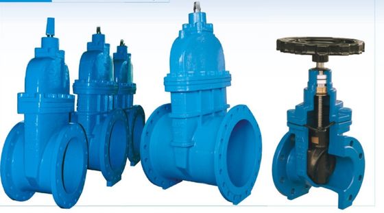 La valvola a saracinesca del ghisa del volante da 2 pollici delicatamente ha messo la dimensione a sedere DN50-600 per l'acqua