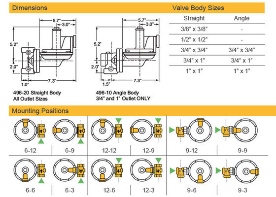 Il bene durevole a due fasi domestico di alta precisione del regolatore del gas il modello di Sensus 496 del corpo del ghisa